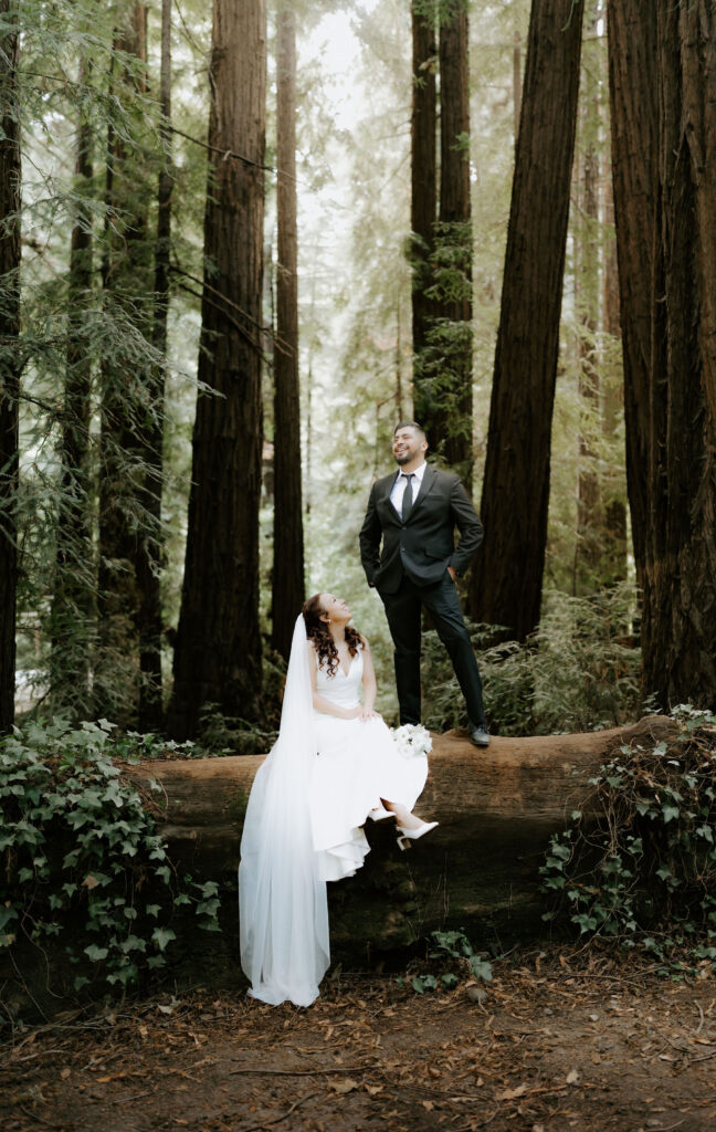 Romantic Glen Oaks Big Sur Elopement in the redwoods