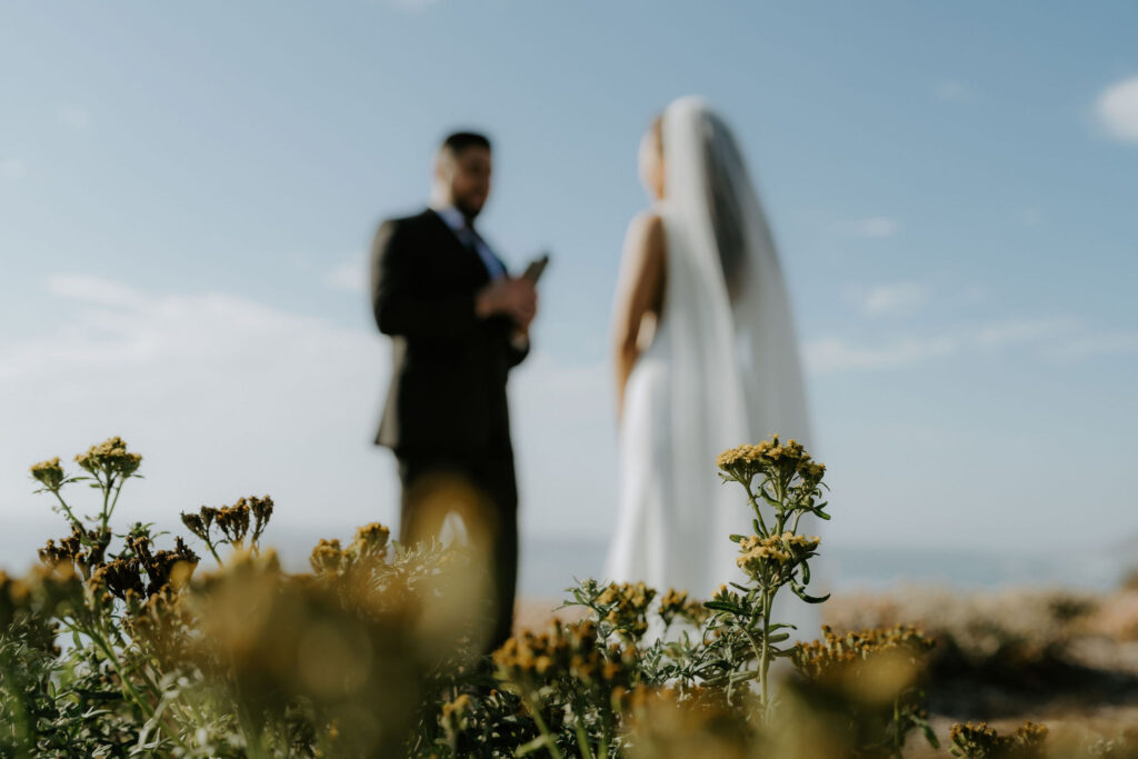 garrapata state park elopement ceremony