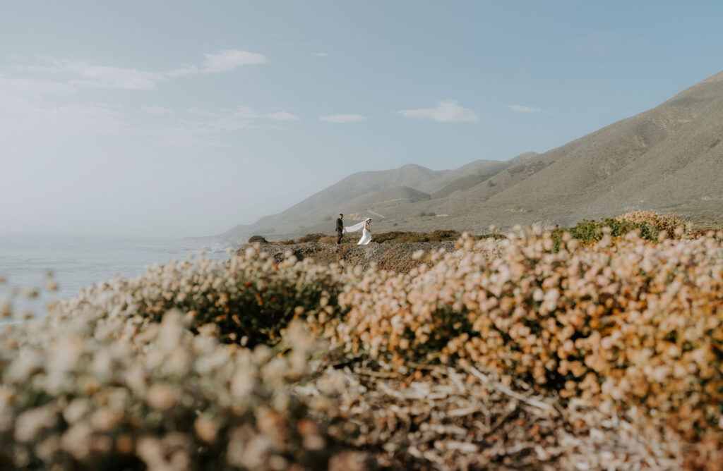 bride and groom posing on the bluffs overlooking the ocean in garrapata state park