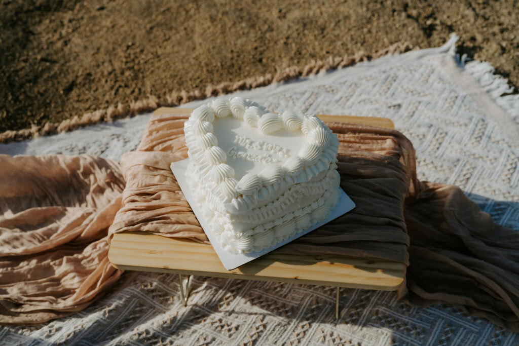 cute small elopement cake