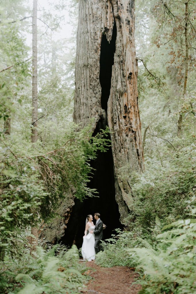 bride and groom at the lush forest during their prairie creek redwoods elopement
