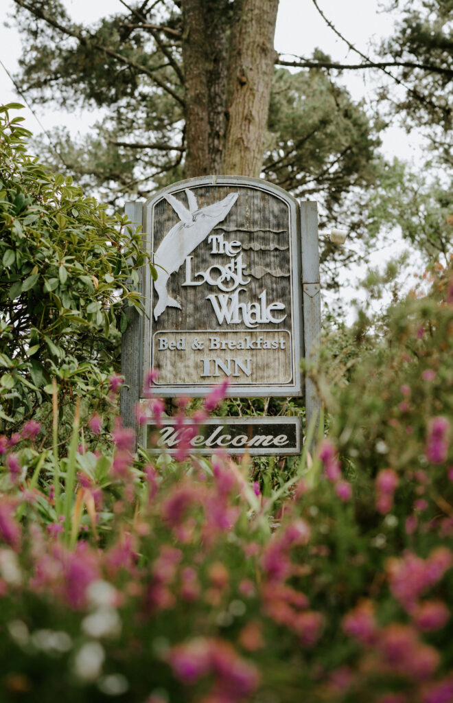 sign to the lost whale inn
