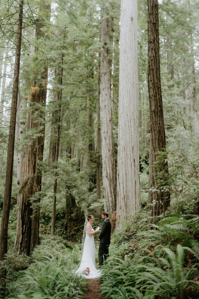 bride and groom exchanging private vows surrounded by lush forest during their prairie creek redwoods elopement