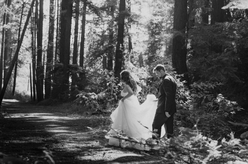 fall redwoods elopement in Big Sur
