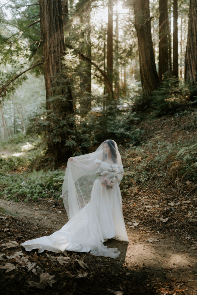 bride in the redwoods during golden hour
