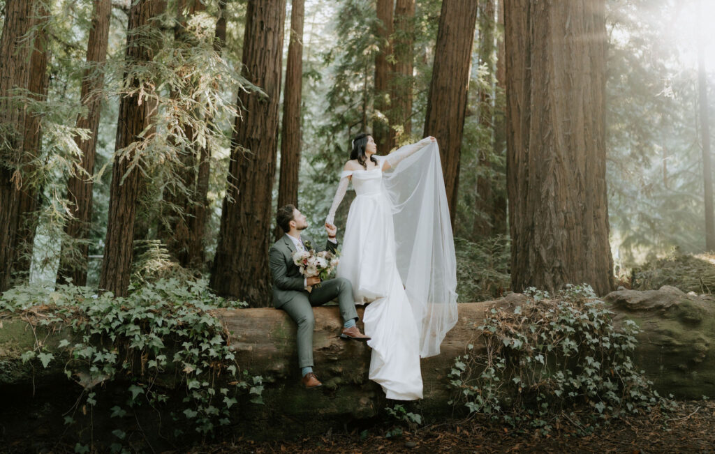 bride and groom in the big sur redwoods during golden hour
