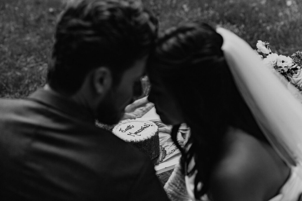 cozy elopement picnic with a cake cutting and private vow exchange