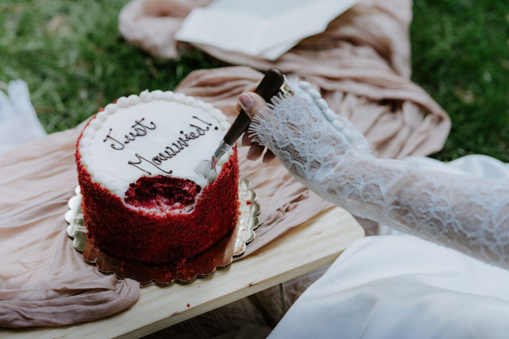 cozy elopement picnic with a cake cutting 