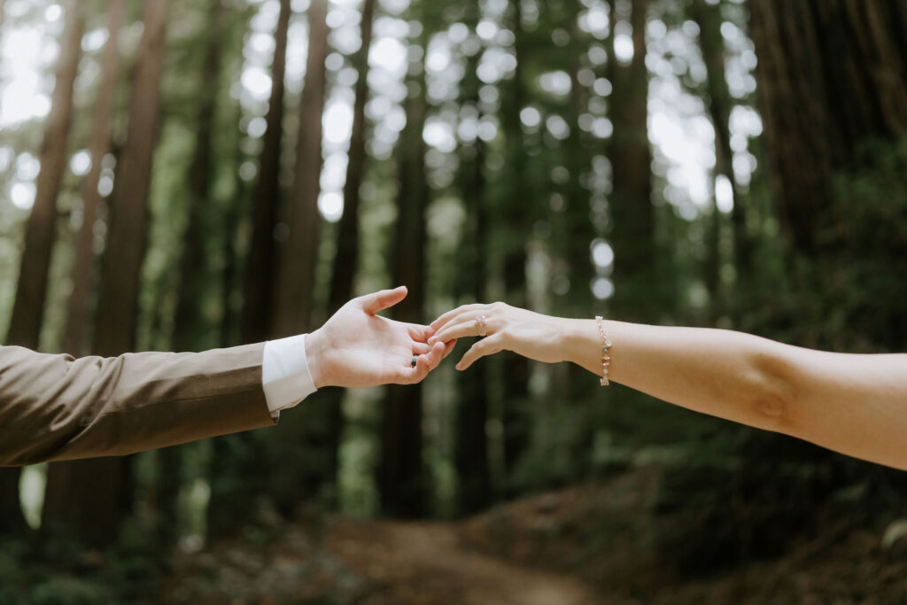 big sur fall elopement in the redwoods