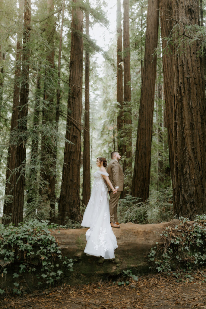 big sur fall elopement in the redwoods