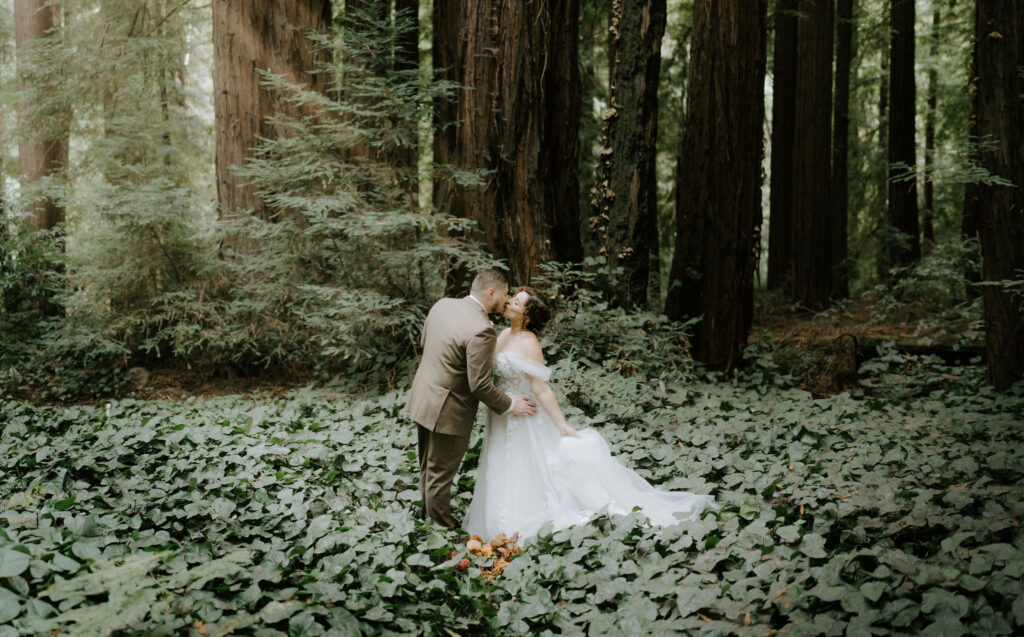 bride and groom surrounded by lush redwoods during their big sur fall elopement