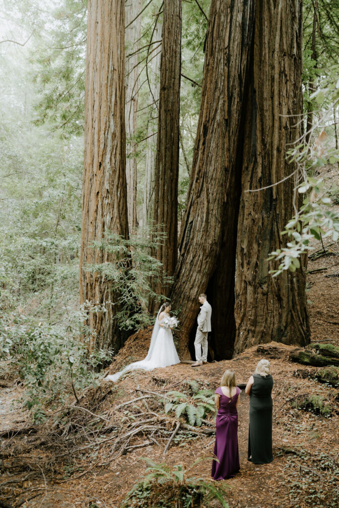 redwoods forest elopement ceremony at armstrong redwoods