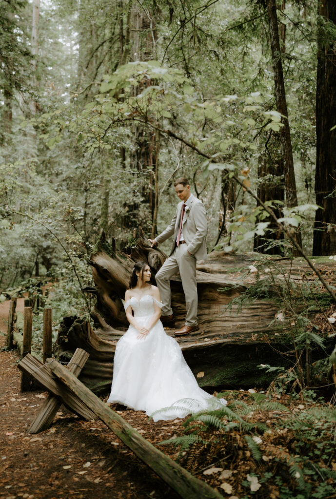 fall forest elopement at armstrong redwoods