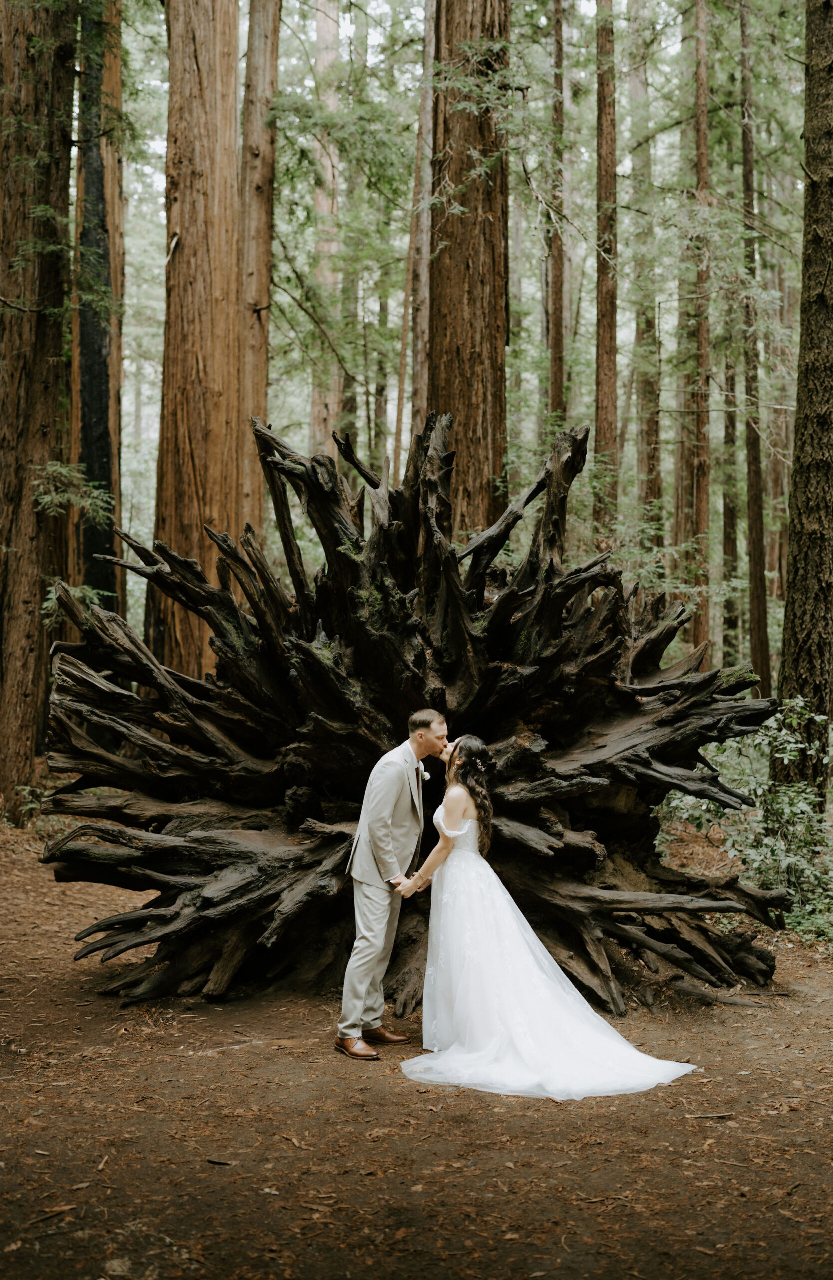 fall forest elopement at armstrong redwoods