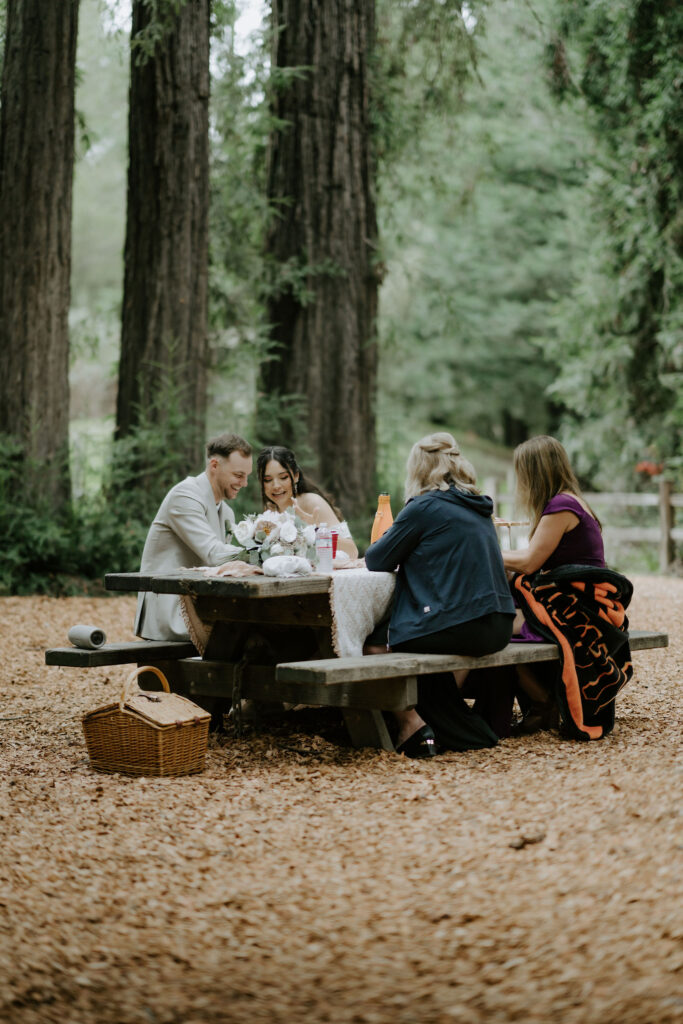 forest elopement picnic surrounded by redwoods