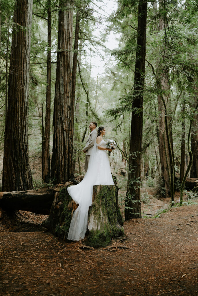 bride and groom at their dream bridal photos 