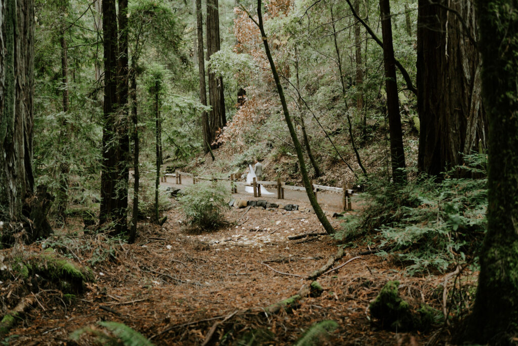 7 Best California Coast & Redwood Elopement Locations for Nature-Loving Couples