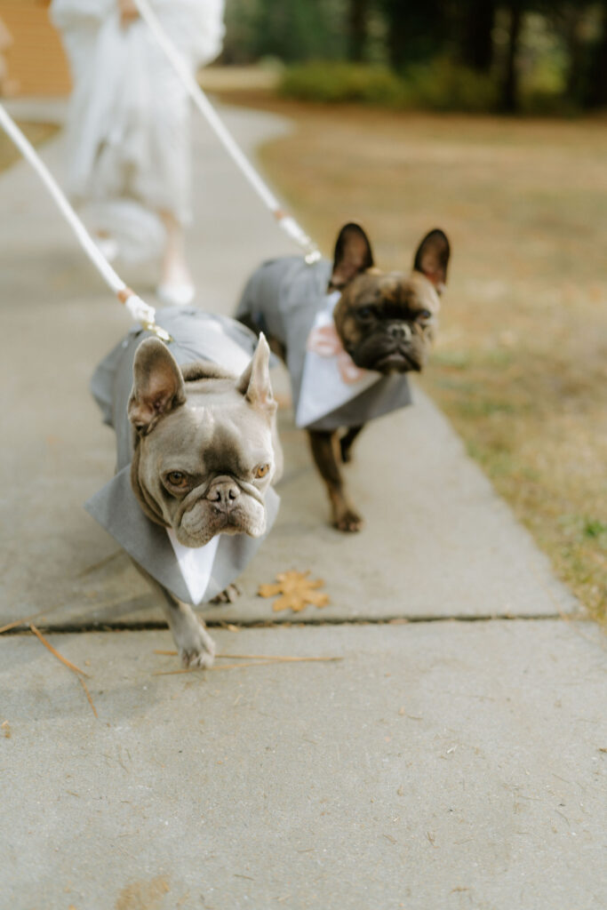 adventurous california elopement
