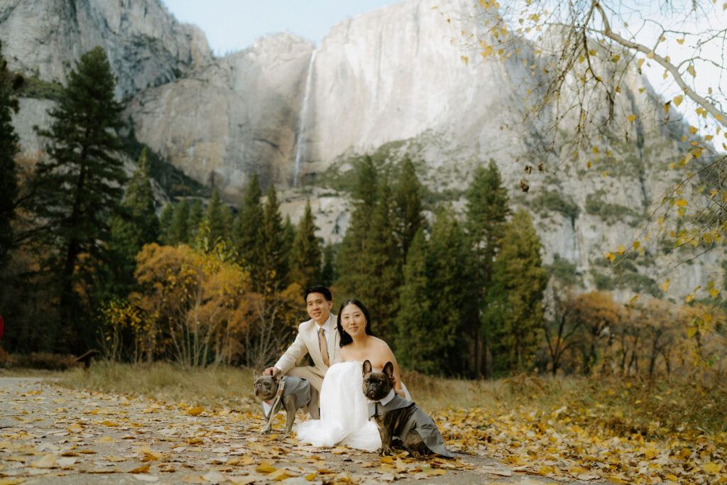 cute picture of the newlyweds and their dogs