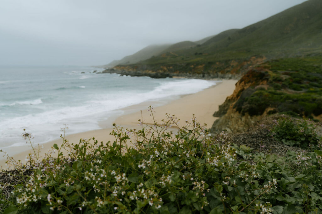 Eloping in Mendocino: A Coastal California Elopement Guide for Adventurous Couples