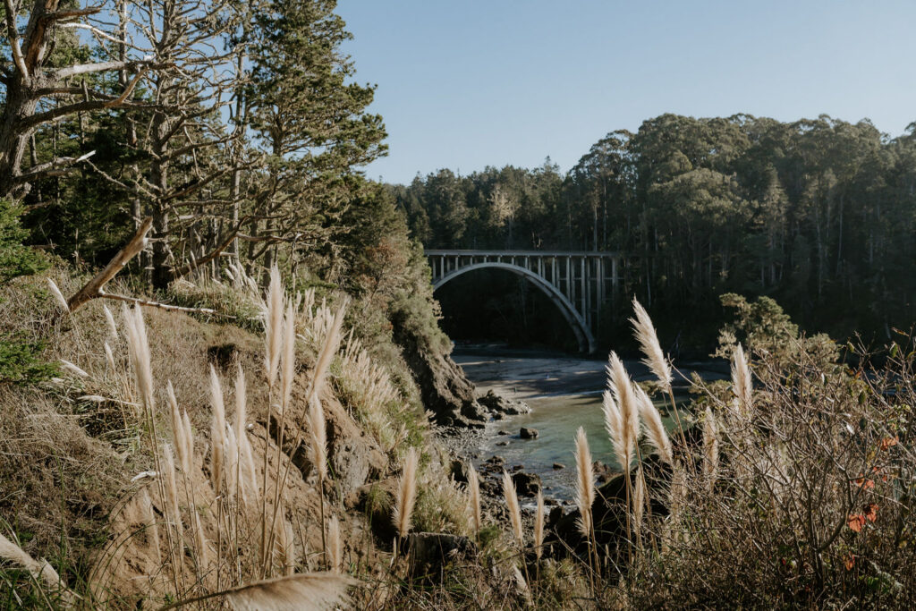Eloping in Mendocino: A Coastal California Elopement Guide for Adventurous Couples