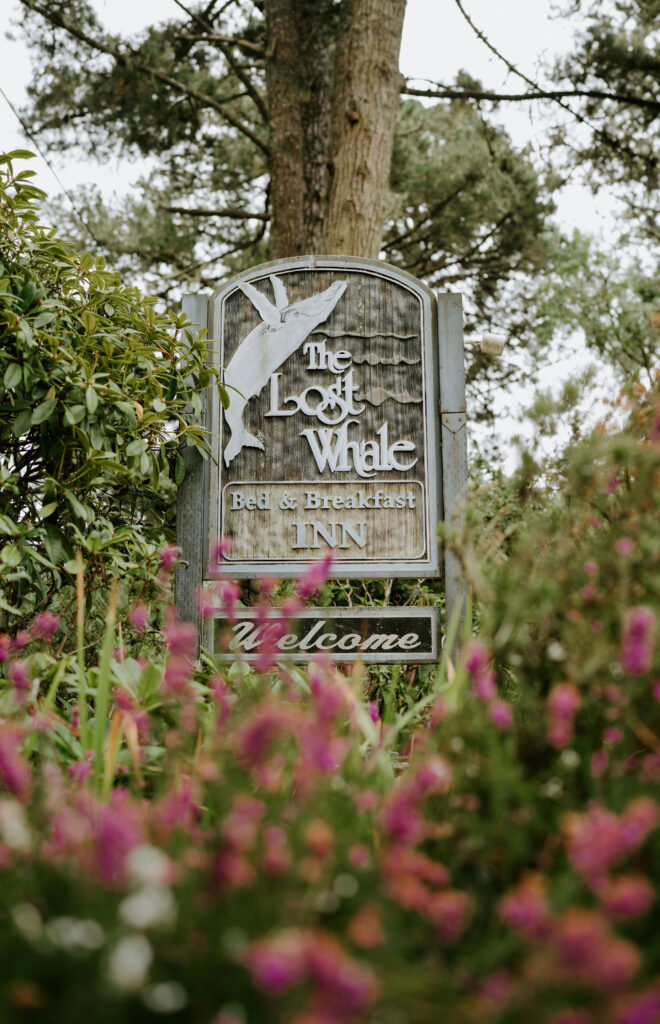 Eloping in Mendocino: A Coastal California Elopement Guide for Adventurous Couples