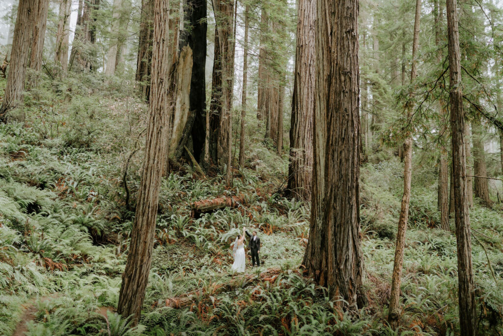 Eloping in Mendocino: A Coastal California Elopement Guide for Adventurous Couples