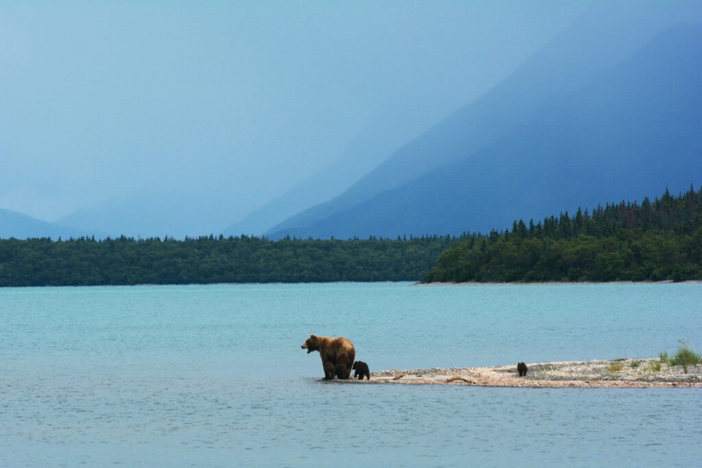 Alaska Adventure Elopement Guide: Seward & Kenai Fjords National Park