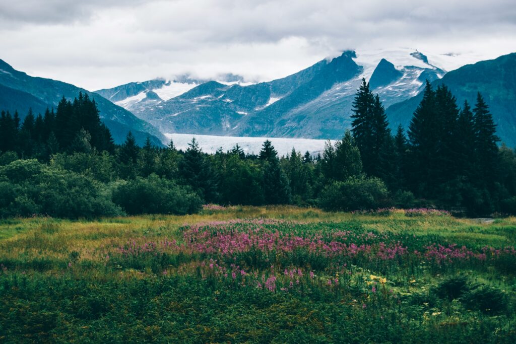 stunning picture of seward alaska