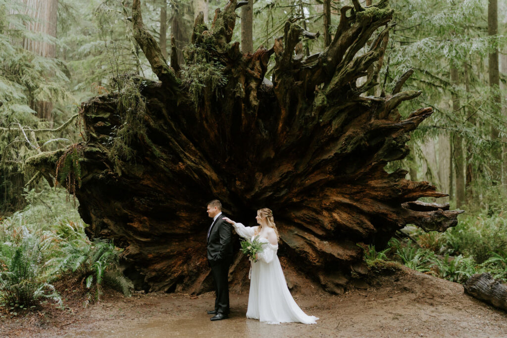 bride and groom at their first look