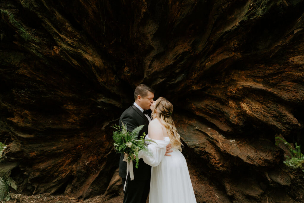 Jedediah Smith Redwoods Elopement on the Southern Oregon Coast | Meredith & Blake