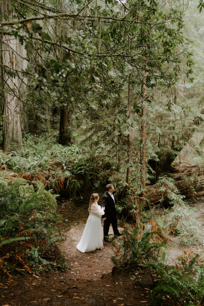 Jedediah Smith Redwoods Elopement on the Southern Oregon Coast | Meredith & Blake