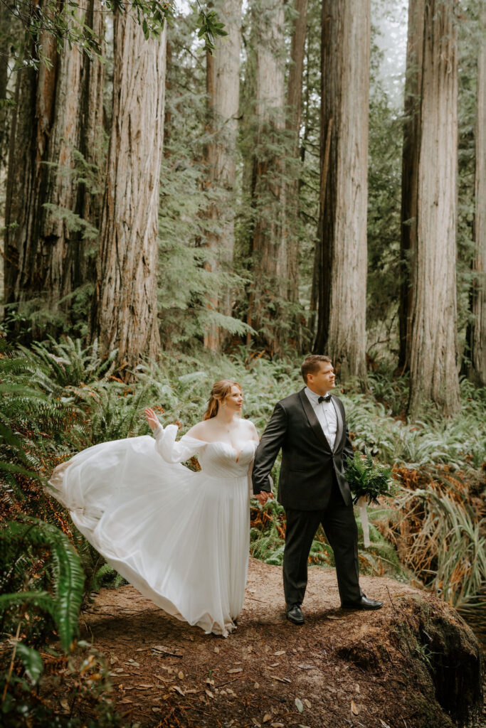 Jedediah Smith Redwoods Elopement on the Southern Oregon Coast | Meredith & Blake