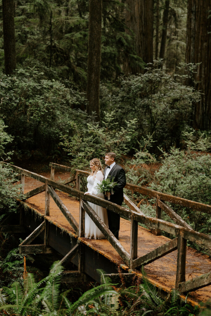 bride and groom at their dream bridal portraits