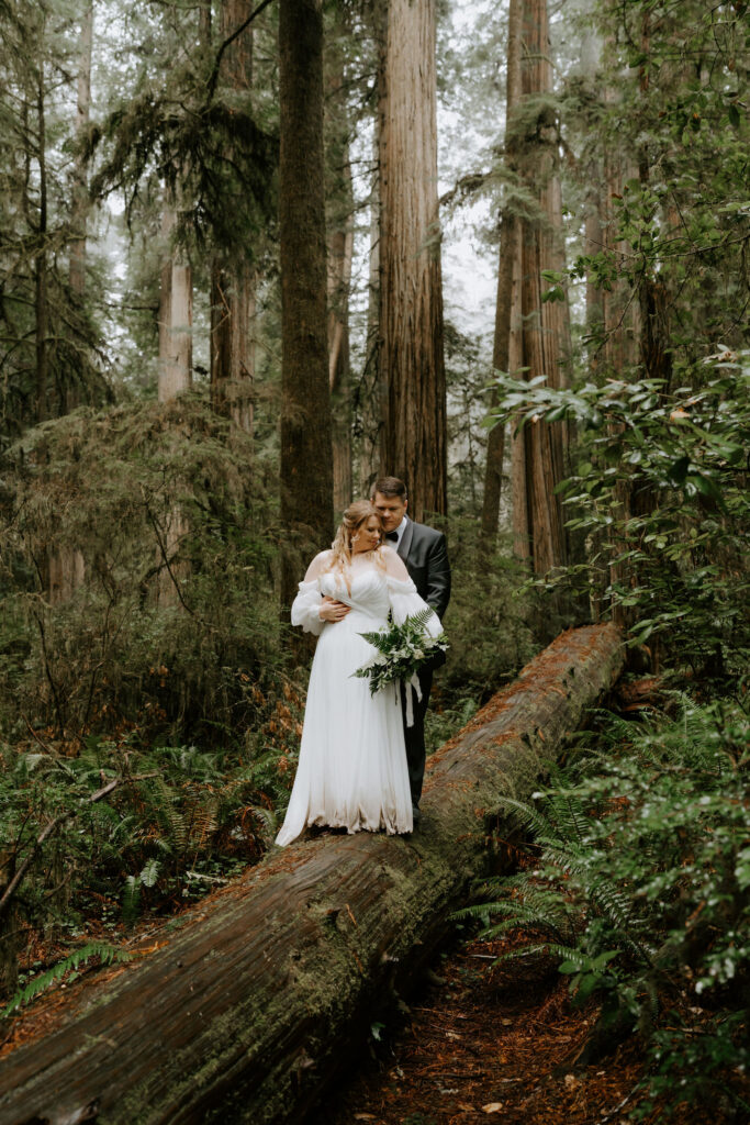 Jedediah Smith Redwoods Elopement on the Southern Oregon Coast | Meredith & Blake