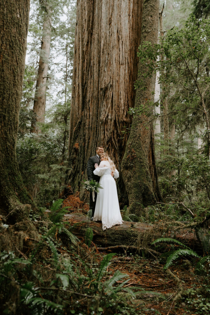 Jedediah Smith Redwoods Elopement on the Southern Oregon Coast | Meredith & Blake