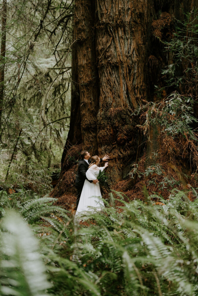 bride and groom at their adventurous elopement