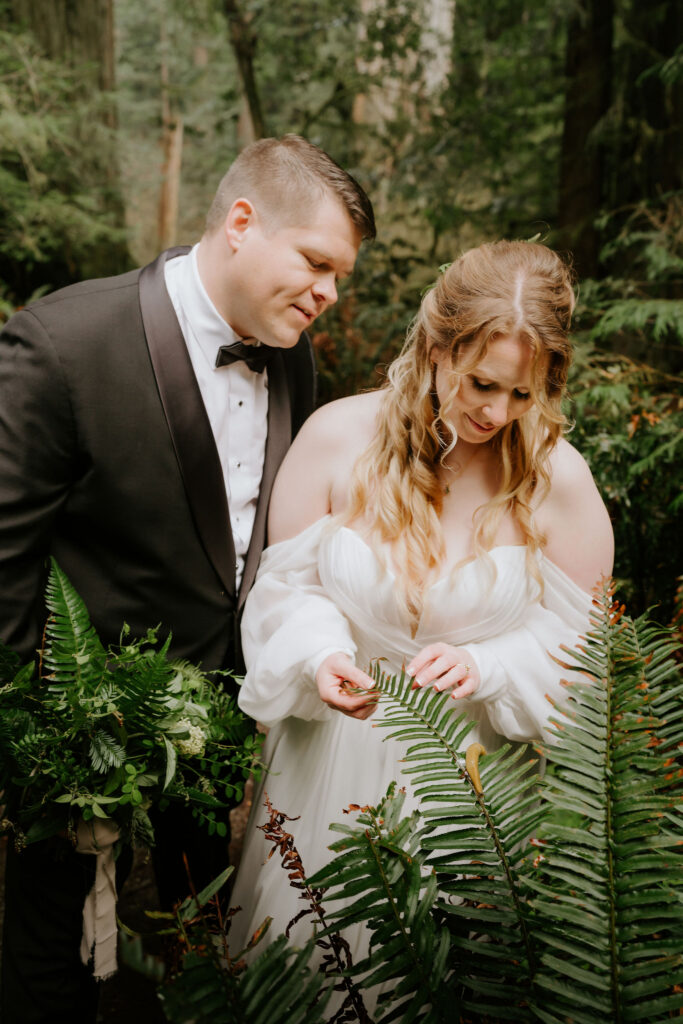 Jedediah Smith Redwoods Elopement on the Southern Oregon Coast | Meredith & Blake