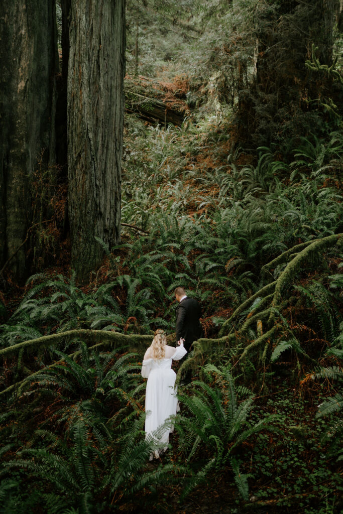 elegant and timeless bridal portraits in redwood national park