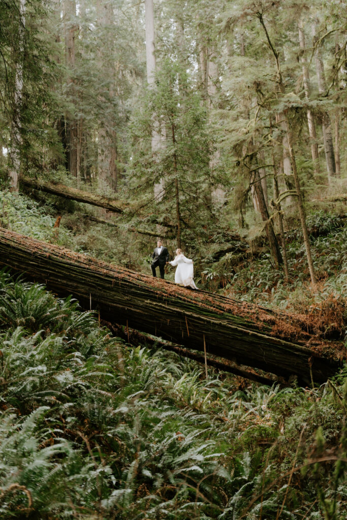 cute picture of the bride and groom holding hands