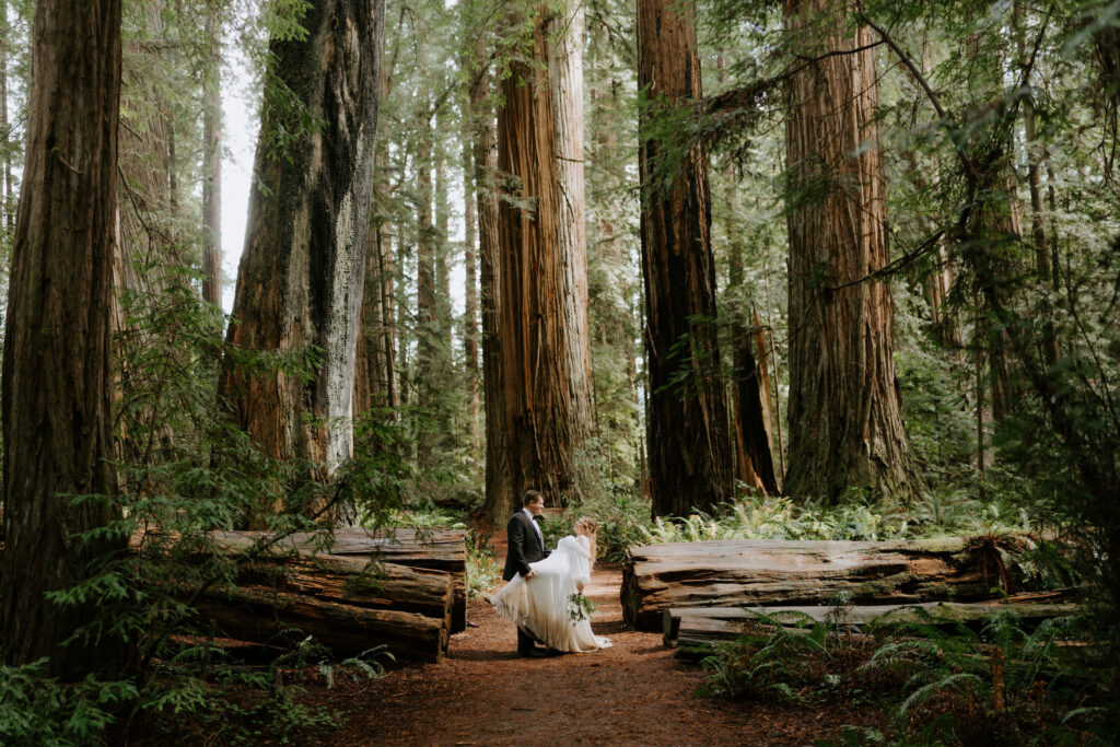 cute picture of the newlyweds kissing