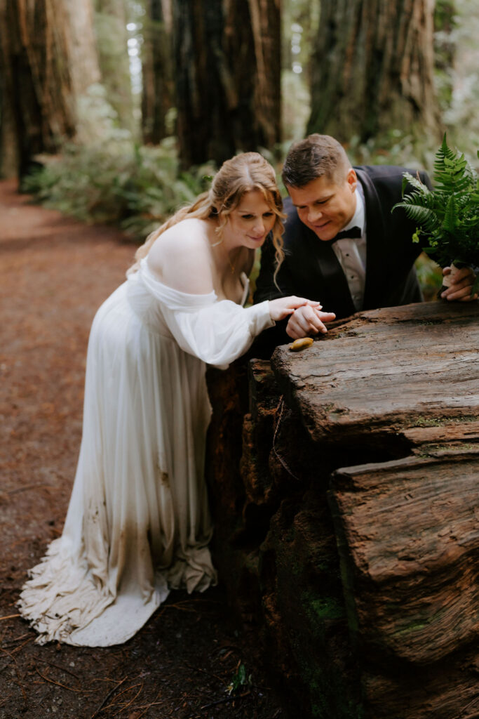 Jedediah Smith Redwoods Elopement on the Southern Oregon Coast | Meredith & Blake