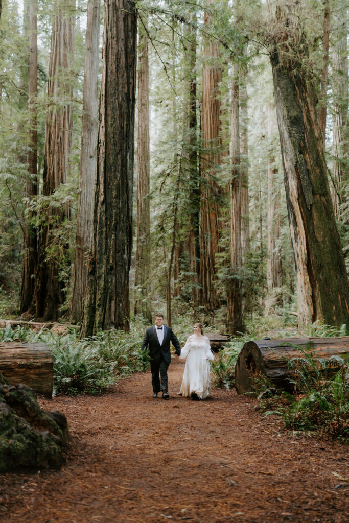 Jedediah Smith Redwoods Elopement on the Southern Oregon Coast | Meredith & Blake