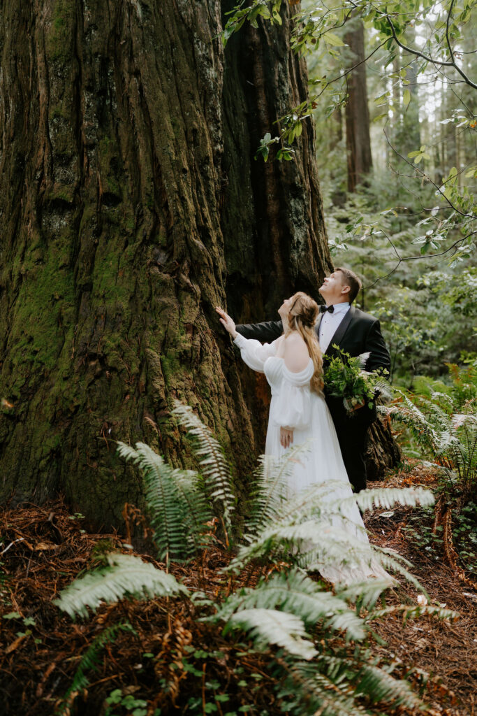 Jedediah Smith Redwoods Elopement on the Southern Oregon Coast | Meredith & Blake