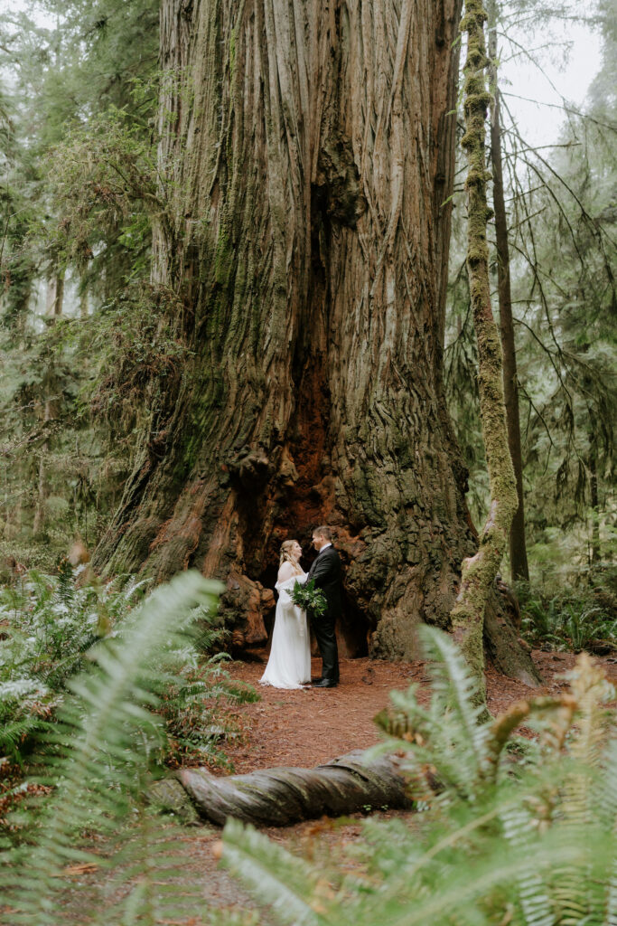 portrait of the bride and groom hugging