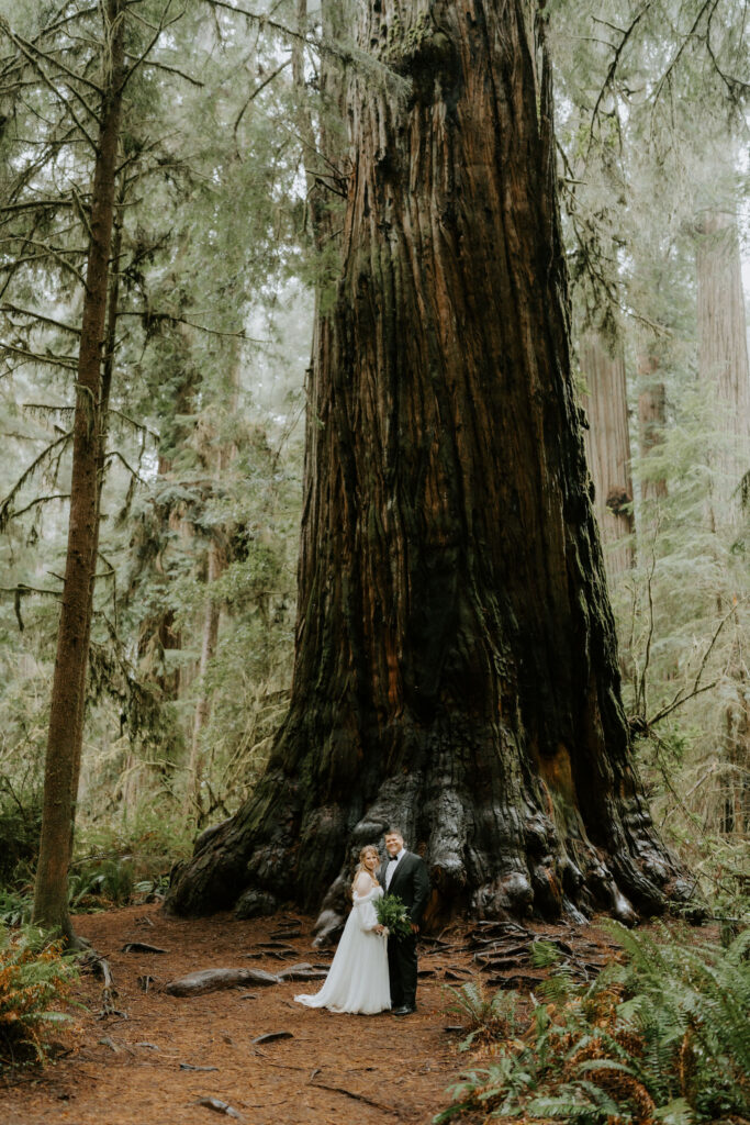 Jedediah Smith Redwoods Elopement on the Southern Oregon Coast | Meredith & Blake