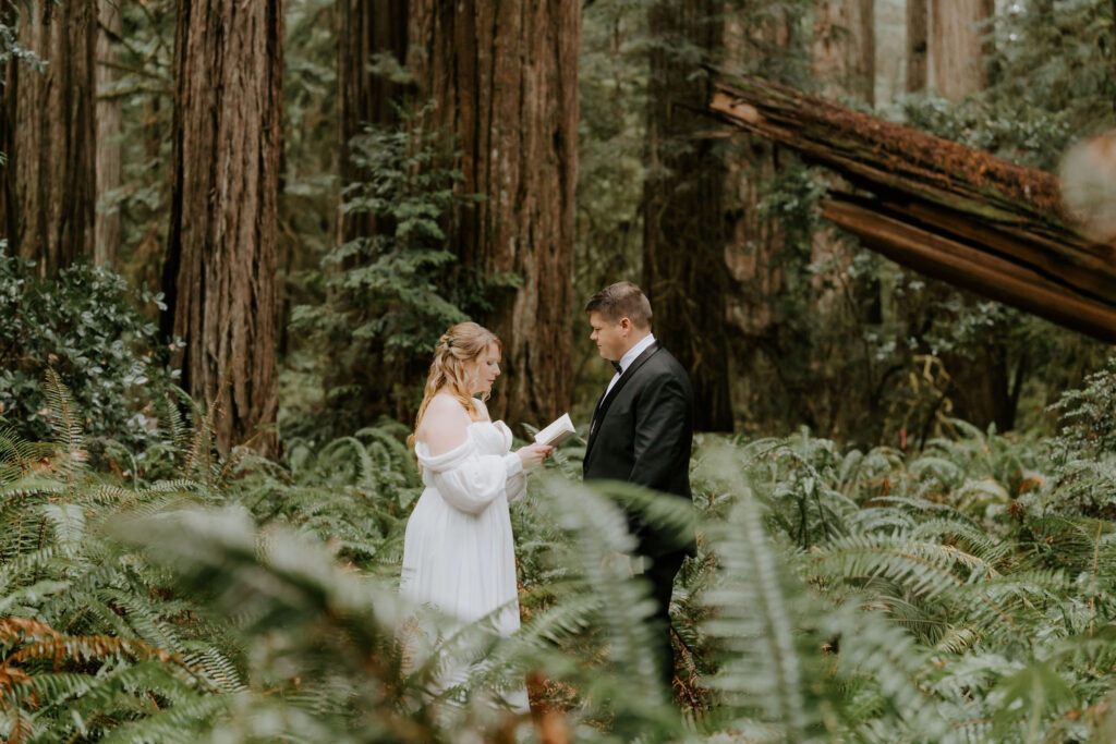 Jedediah Smith Redwoods Elopement on the Southern Oregon Coast | Meredith & Blake