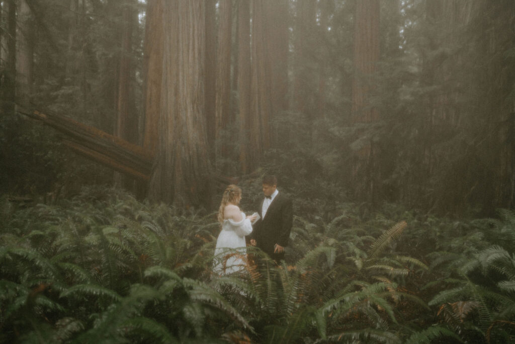 bride and groom at their dream elopement