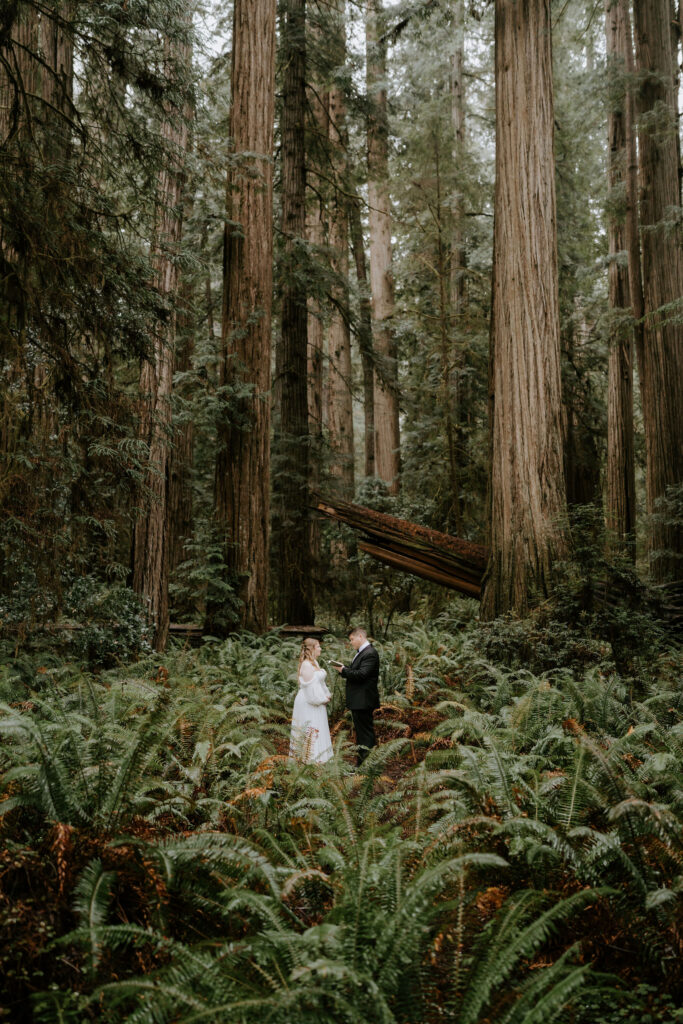 cute picture of the bride and groom hugging