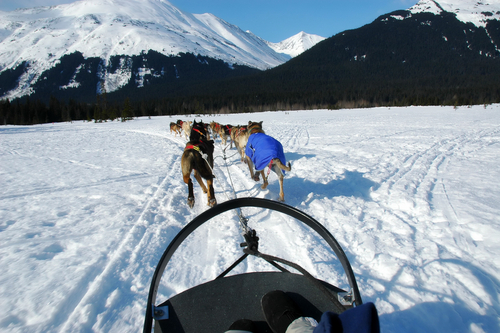 activities for an adventurous wedding in alaska